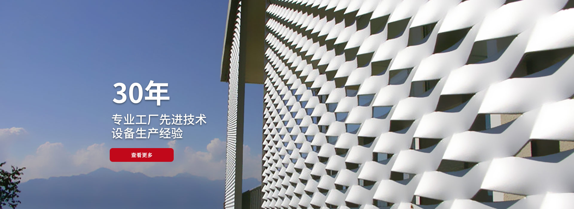 沖孔網(wǎng)